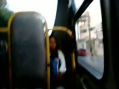 Exib bus